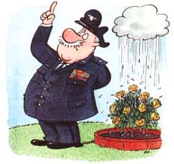 Never Wish on the Weather